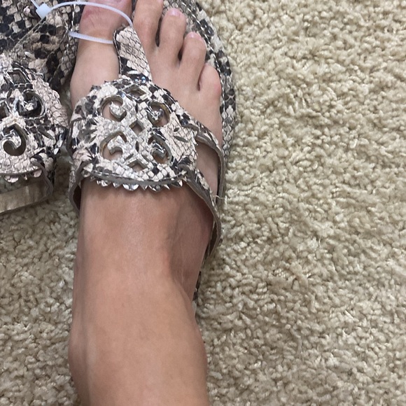 Circus by Sam Edelman sandals snake print black beige size 5.5 NEW - Picture 4 of 7